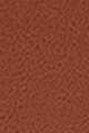 Light/Pastel Brown