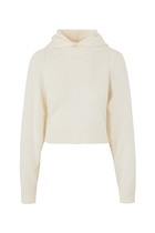 Cozy Lab Hoodie Pullover