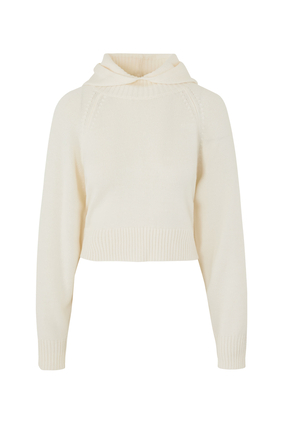Cozy Lab Hoodie Pullover