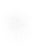 Brume De Beauté Beauty Mist