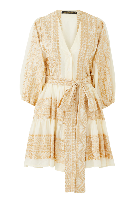 Long Sleeve Mini Dress