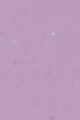 Light/Pastel Purple