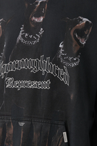 Thoroughbred Hoodie