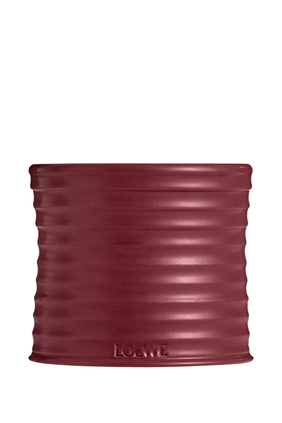 Beetroot Scented Candle