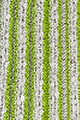Green Multi