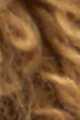 Terre