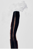 Medium Palo Santo Candle