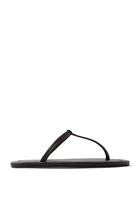 T Slides