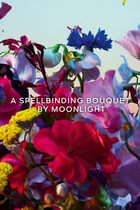 Absolus Allegoria Florabloom Absolu Eau de Parfum