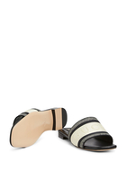  Logo Slides