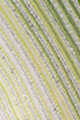 Green Multi