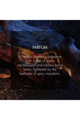 Sauvage Parfum