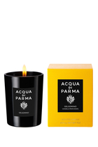 Signatures of the Sun Gelsomino Candle