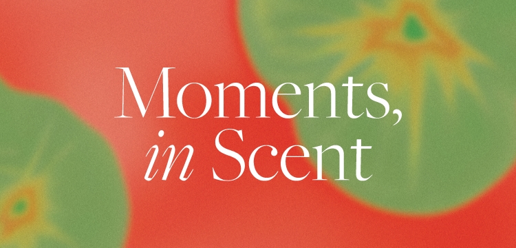 WK01_26-PLPBanner-BTY-Extravaganza