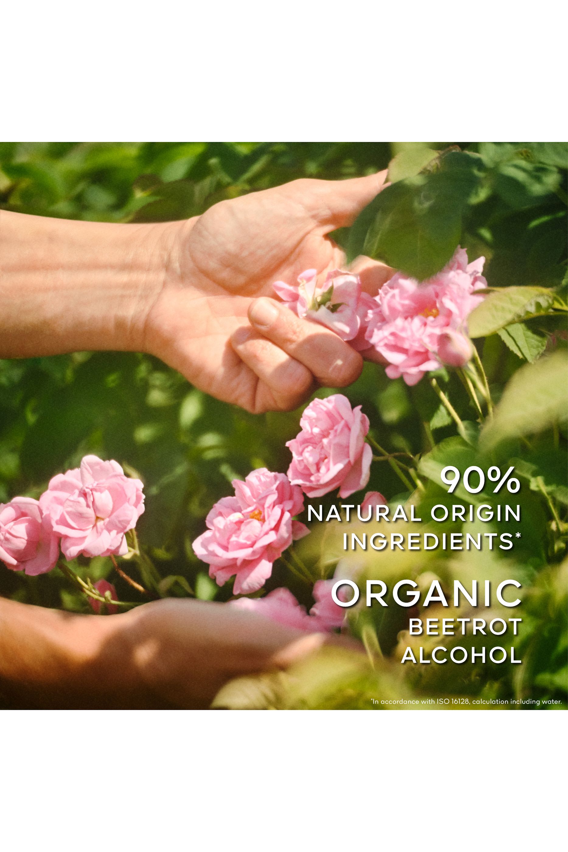 La Petite Robe Noire Eau de Toilette