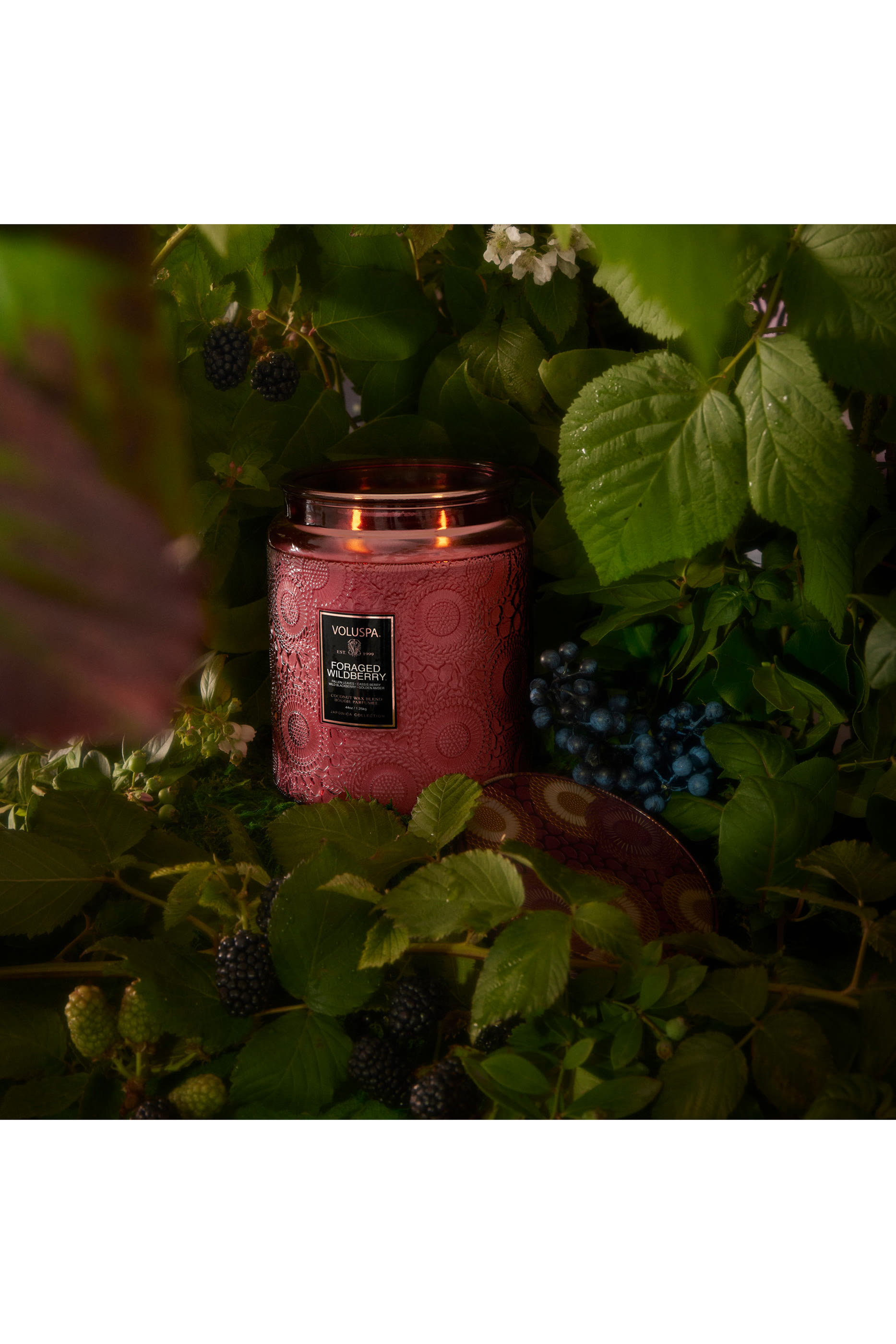 Foraged Wildberry Luxe Jar Candle
