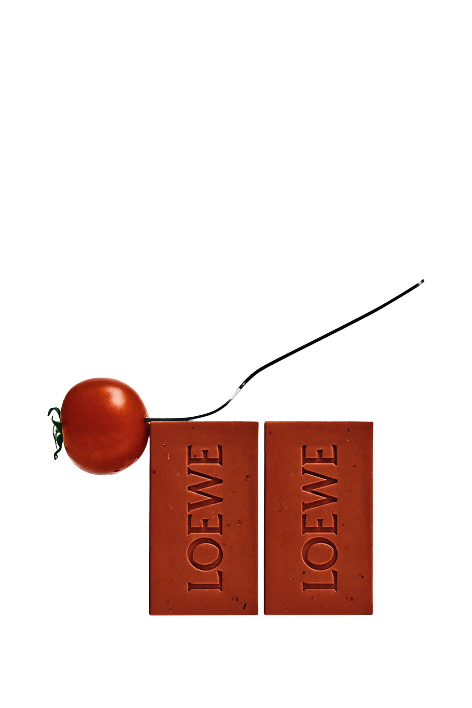 Tomato Leaves Solid Soap Duo Set