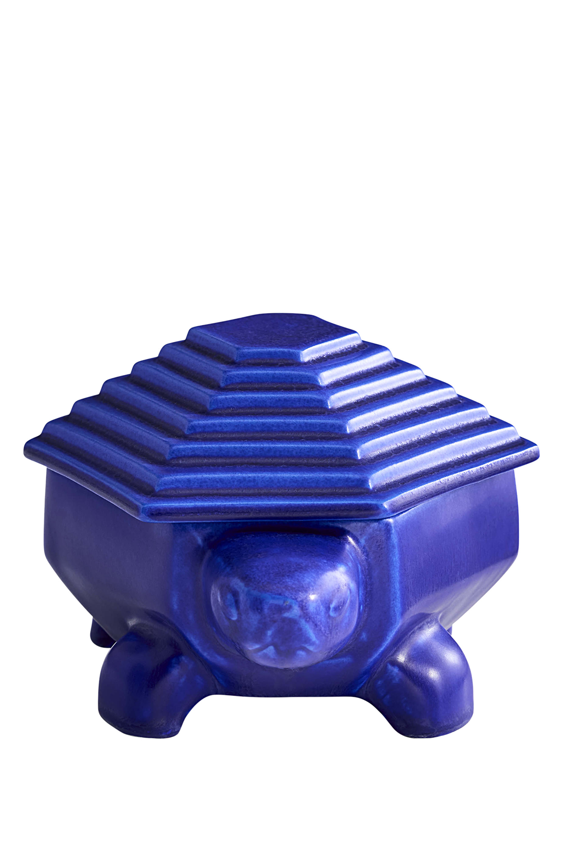 Cobalt Turtle Box