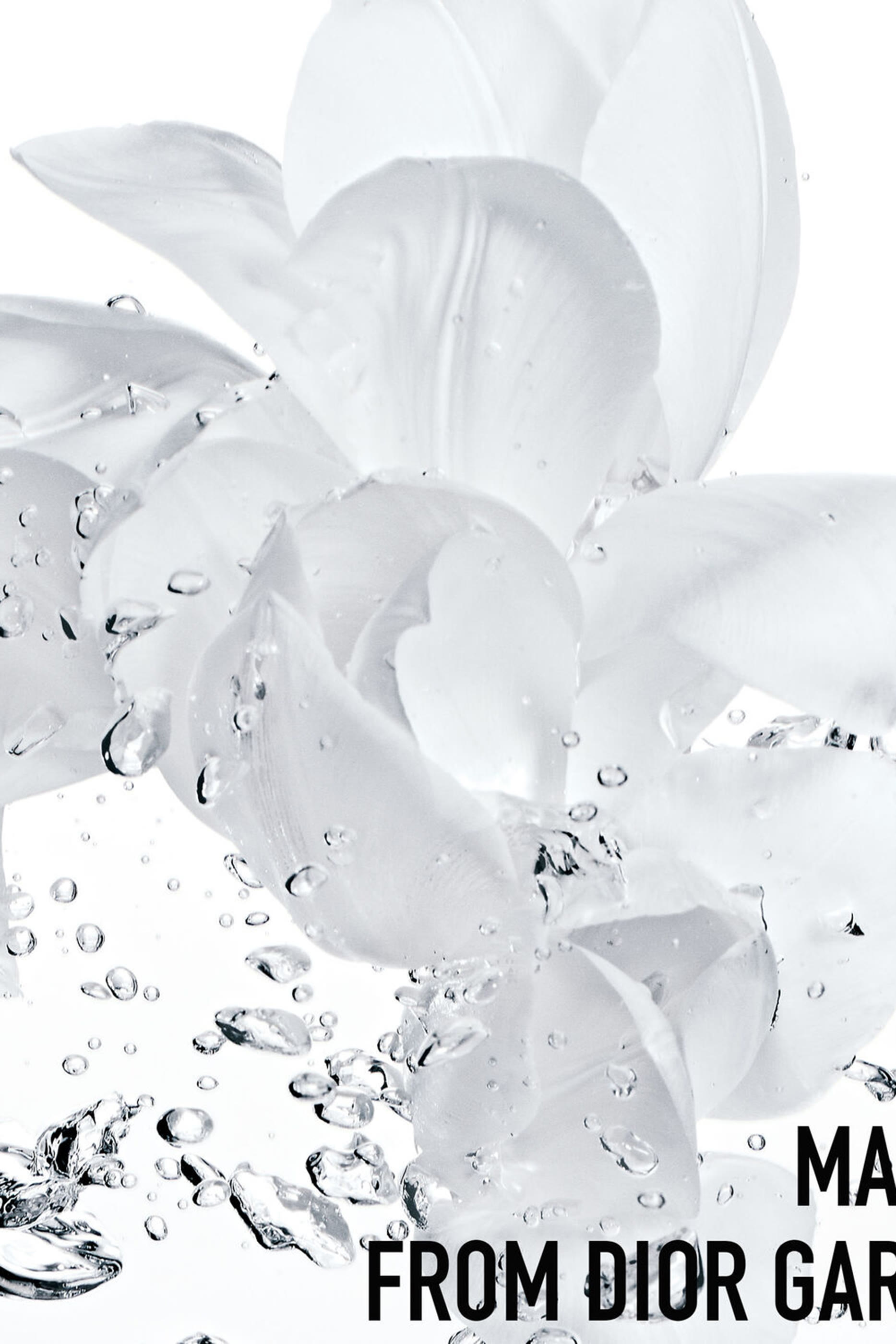 Hydra Life Fresh Hydration Sorbet Cream