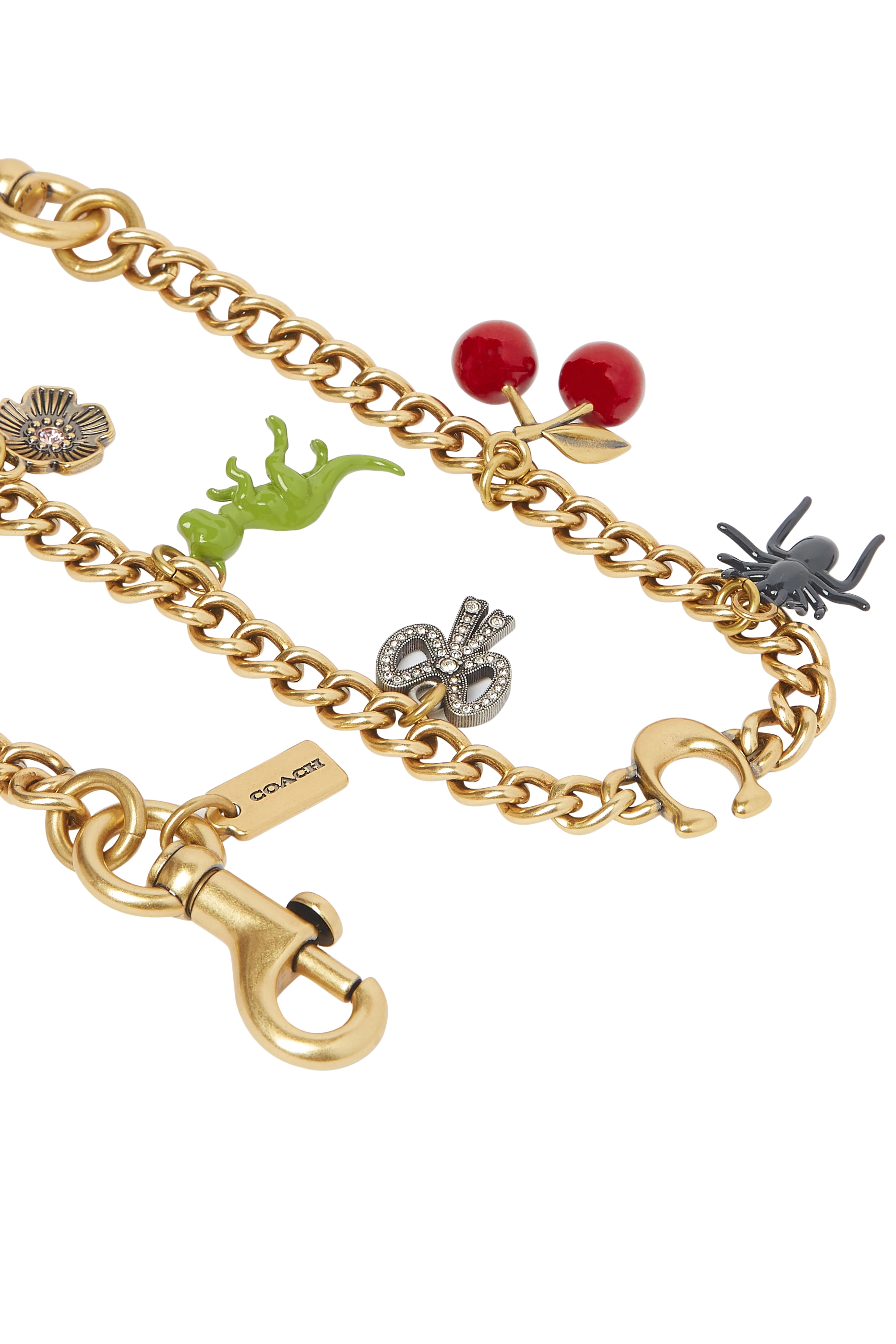 Chain Strap with Charms