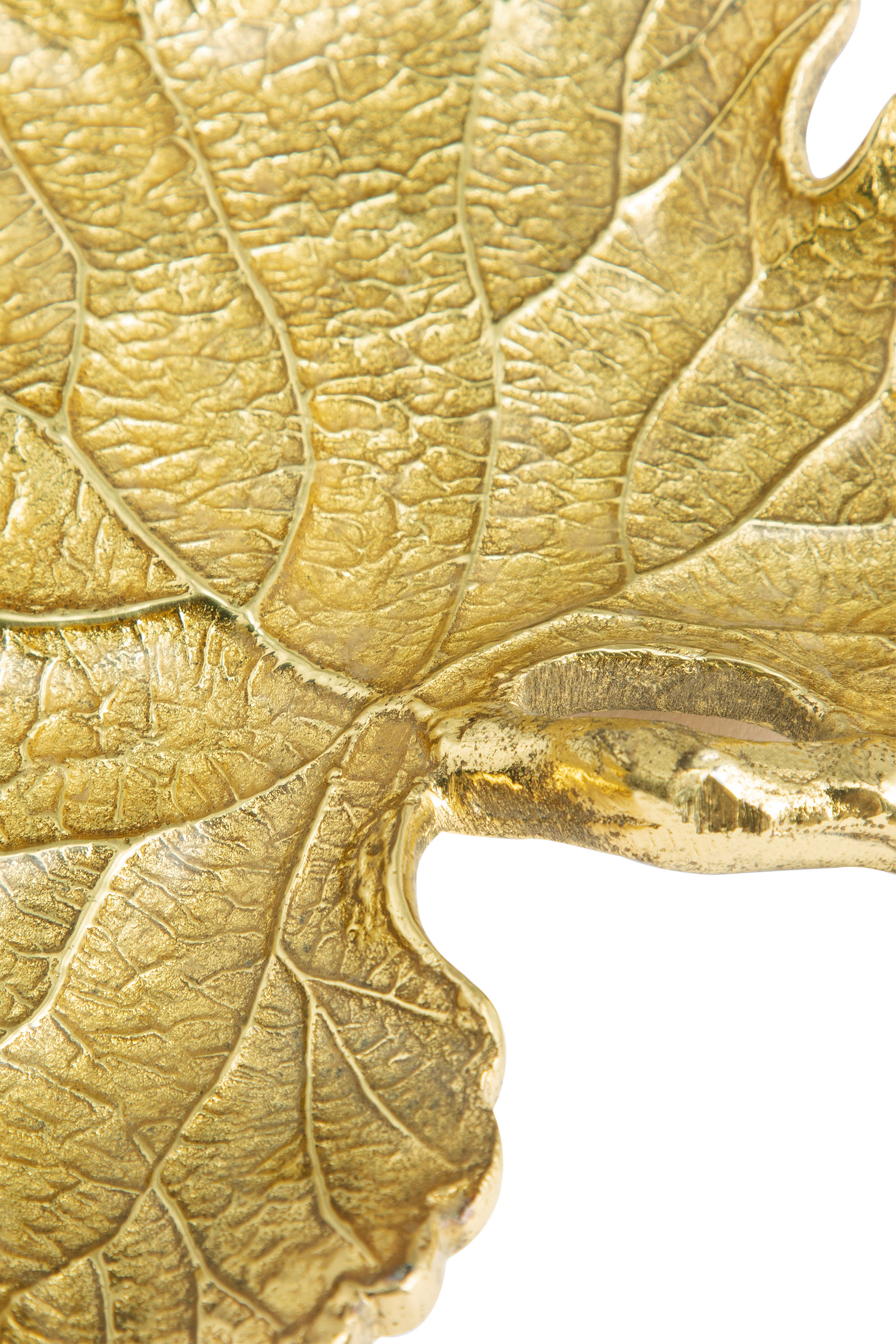 Grape Leaf Snack Plate