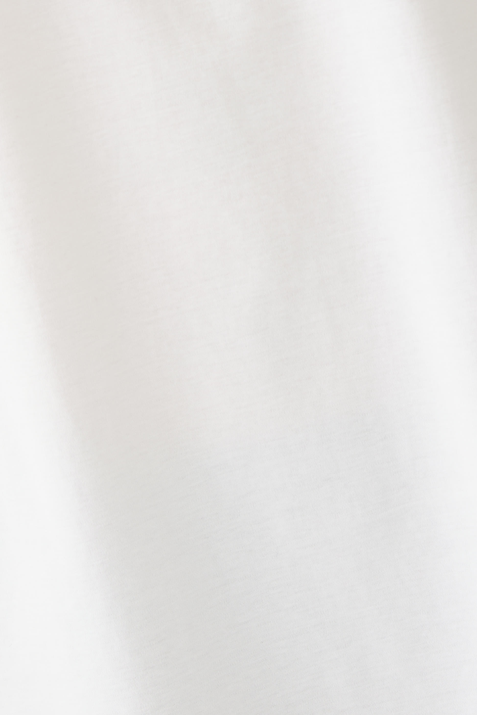 Oversized Cotton Silk T-Shirt