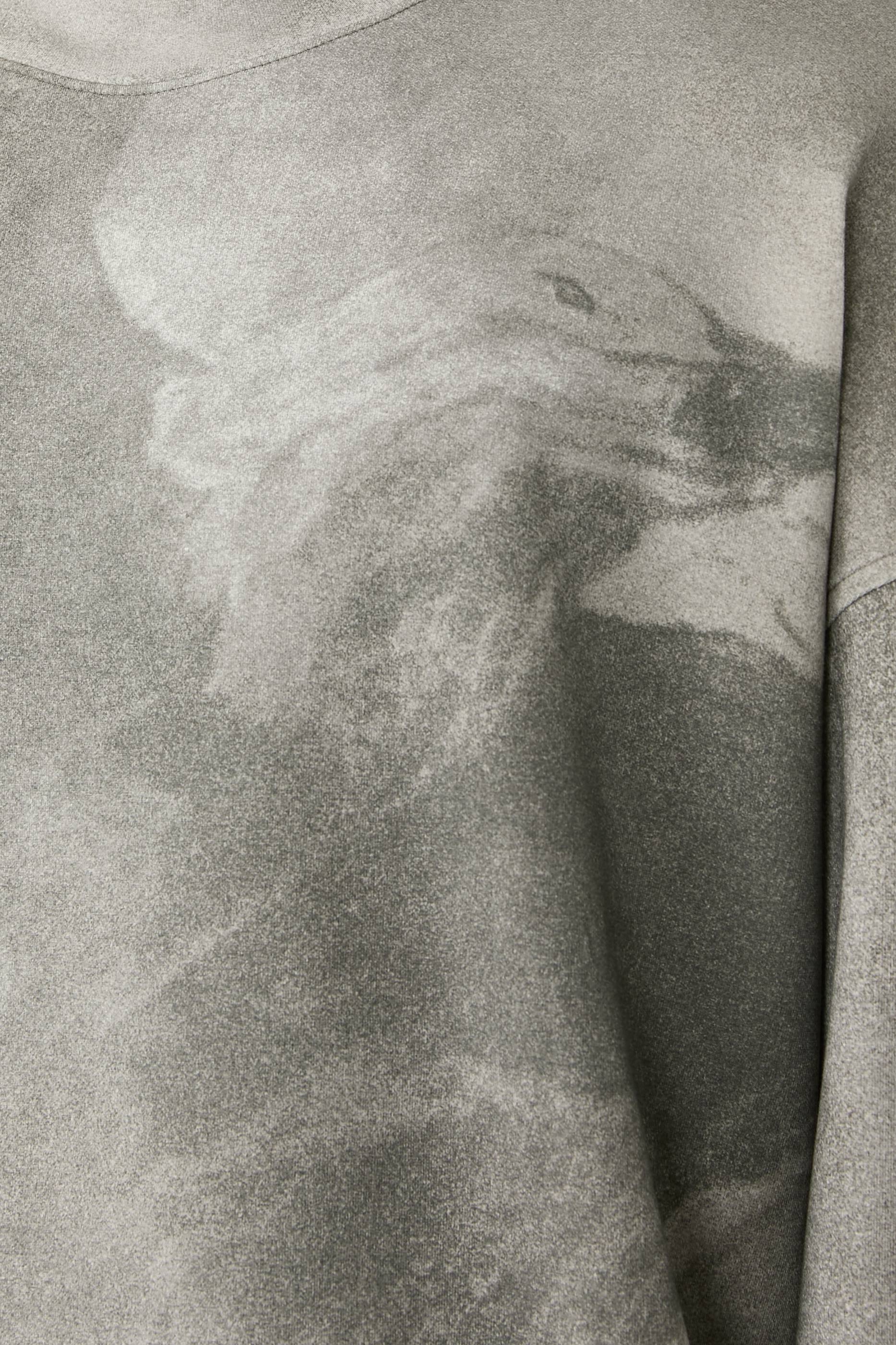 Eagle Digital-Print Sweatshirt