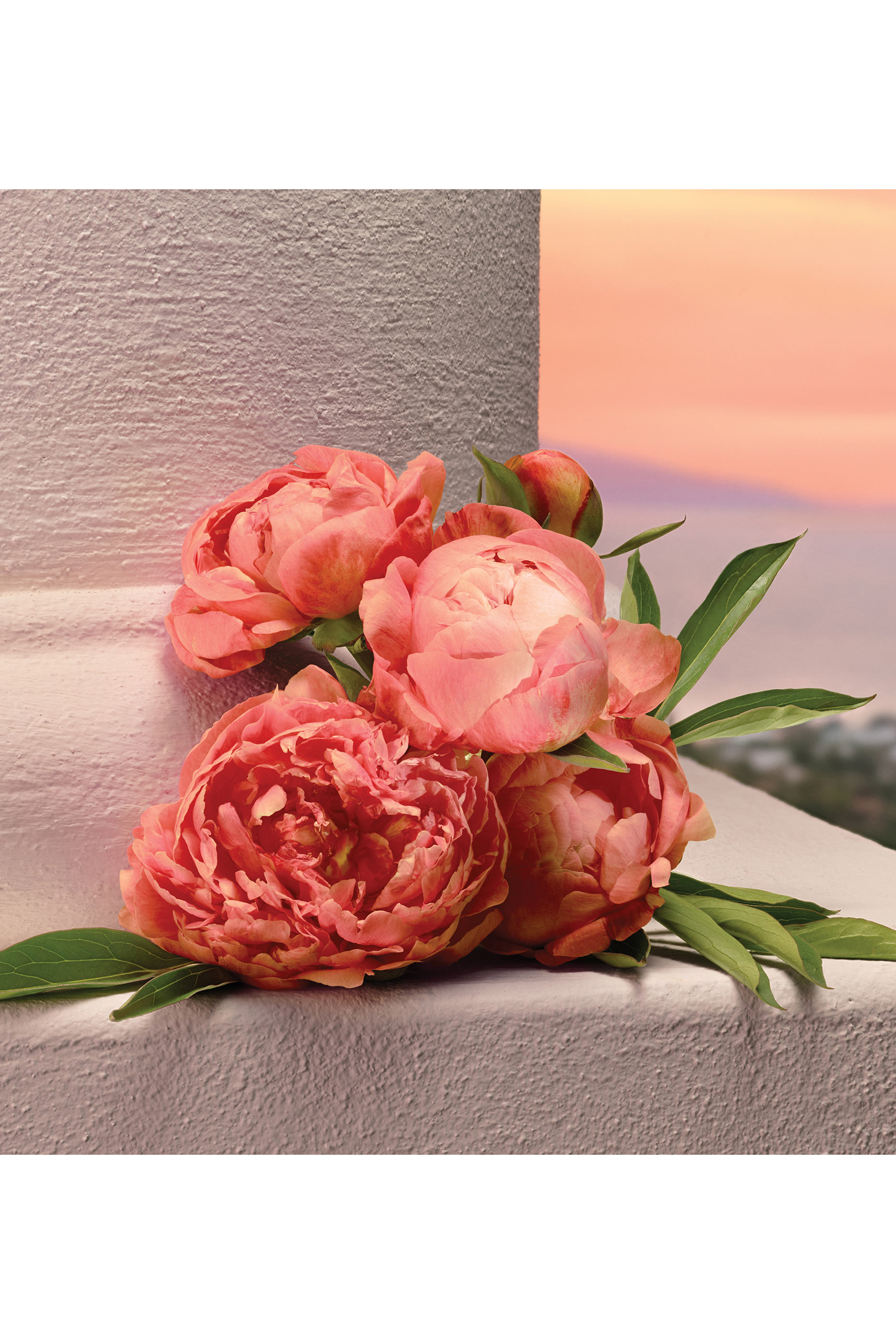 My Devotion Eau de Parfum Intense