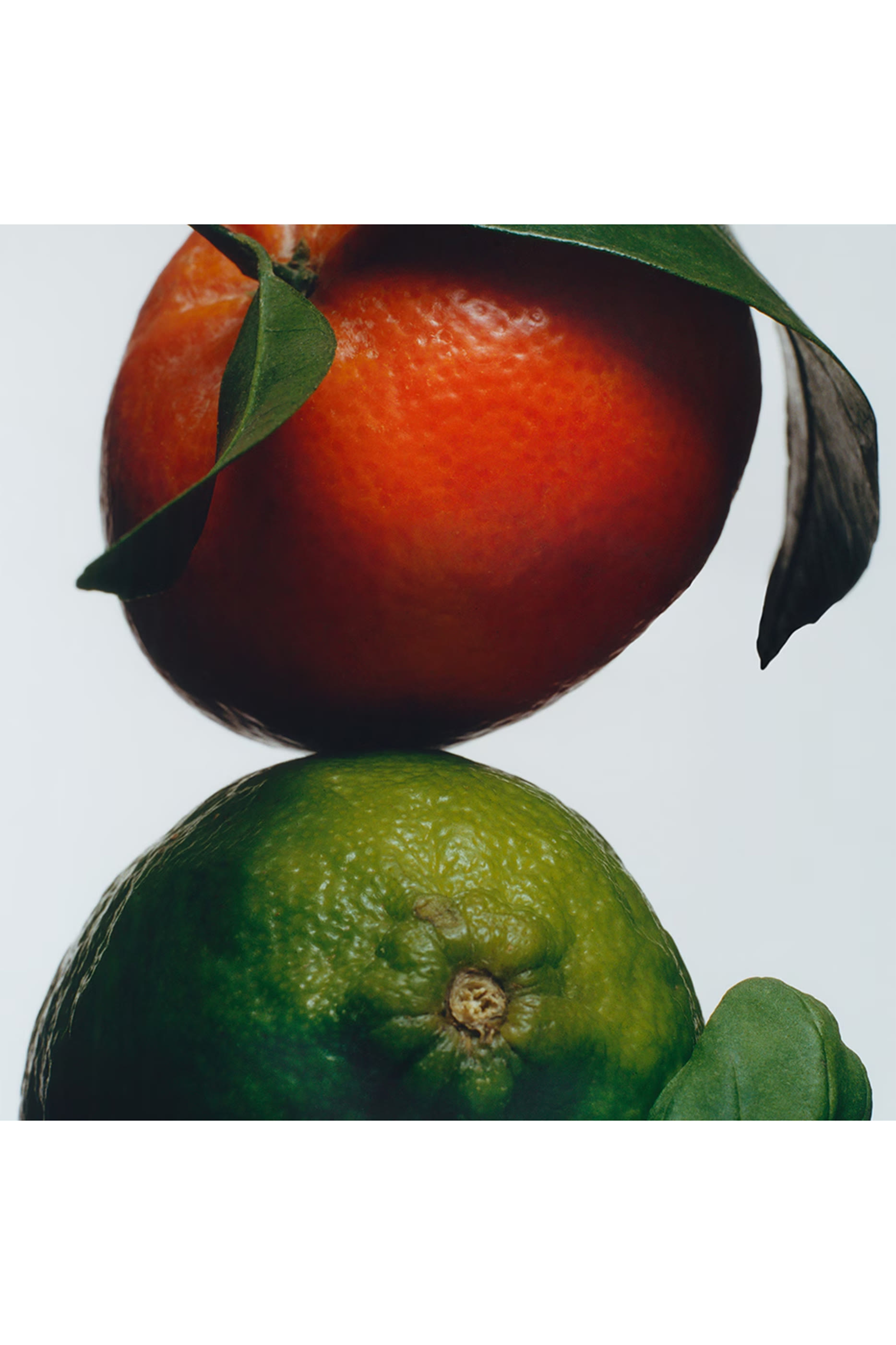 Lime Basil and Mandarin Home Candle