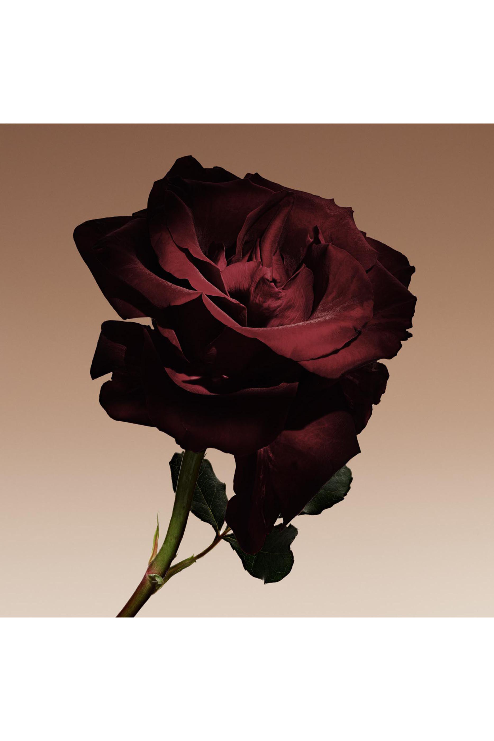 Priv&eacute; Cuir Nu Eau De Parfum 