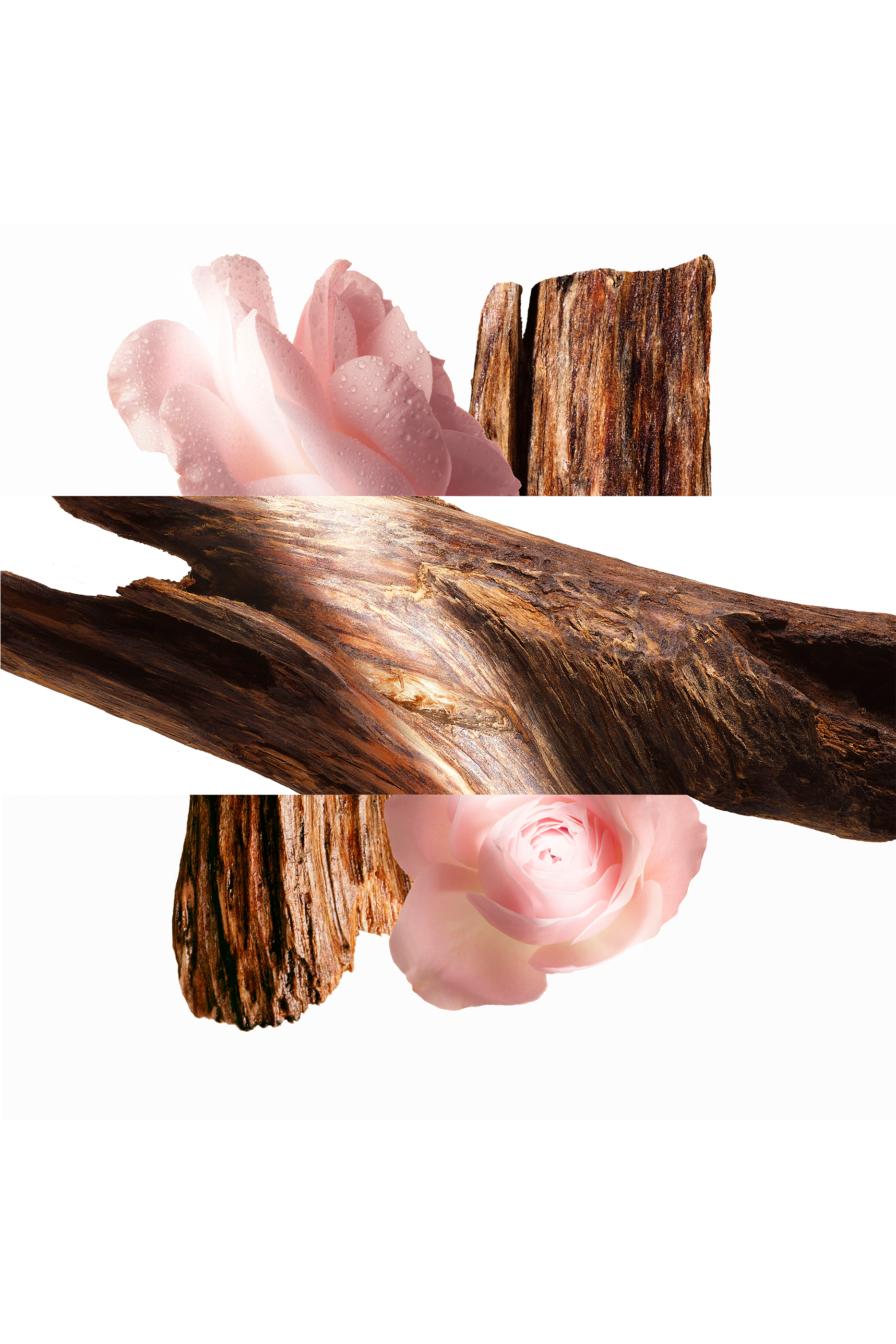 Oud Alezan Eau De Parfum Refill