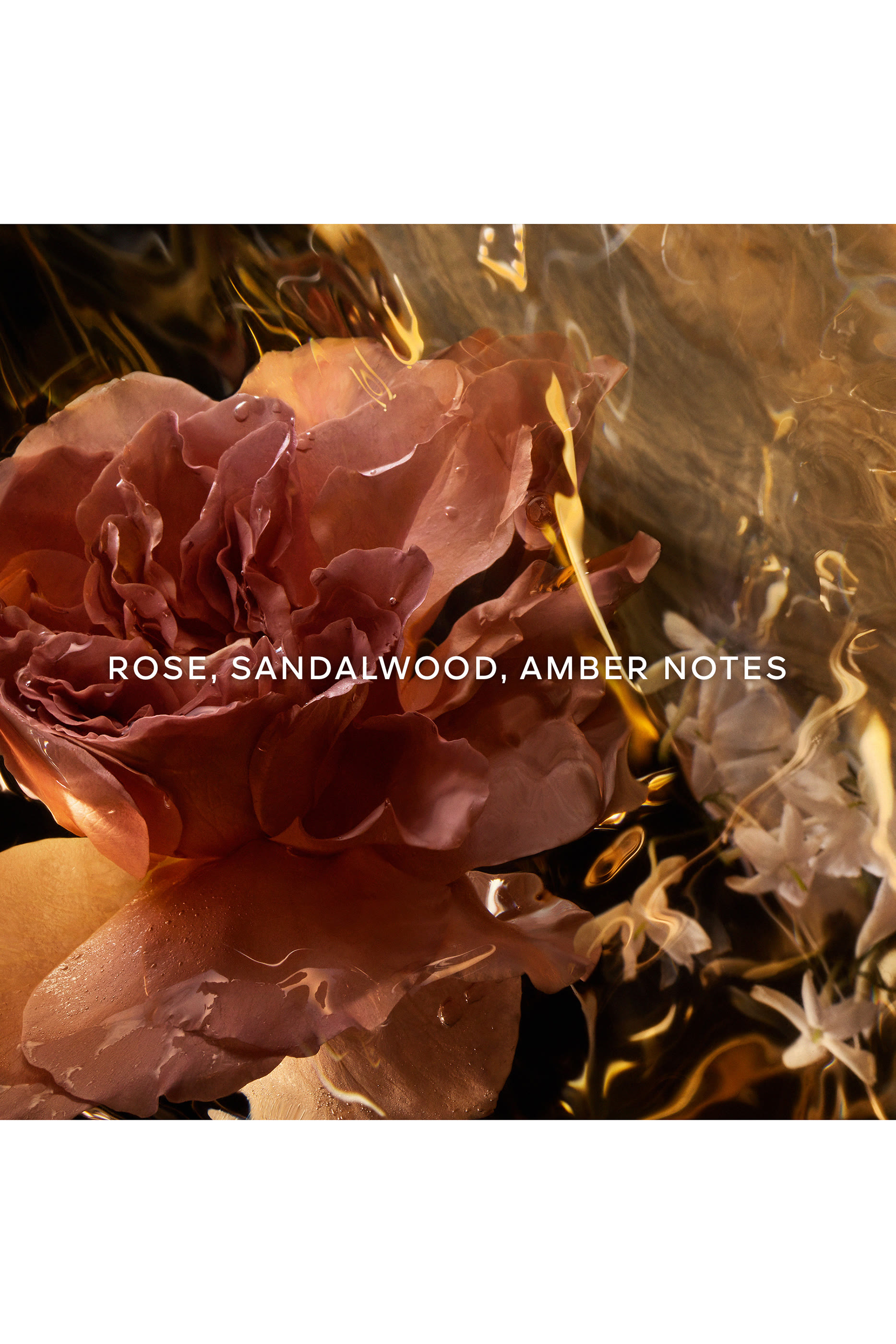 Les Absolus d'Orient Santal Royal Hair Mist