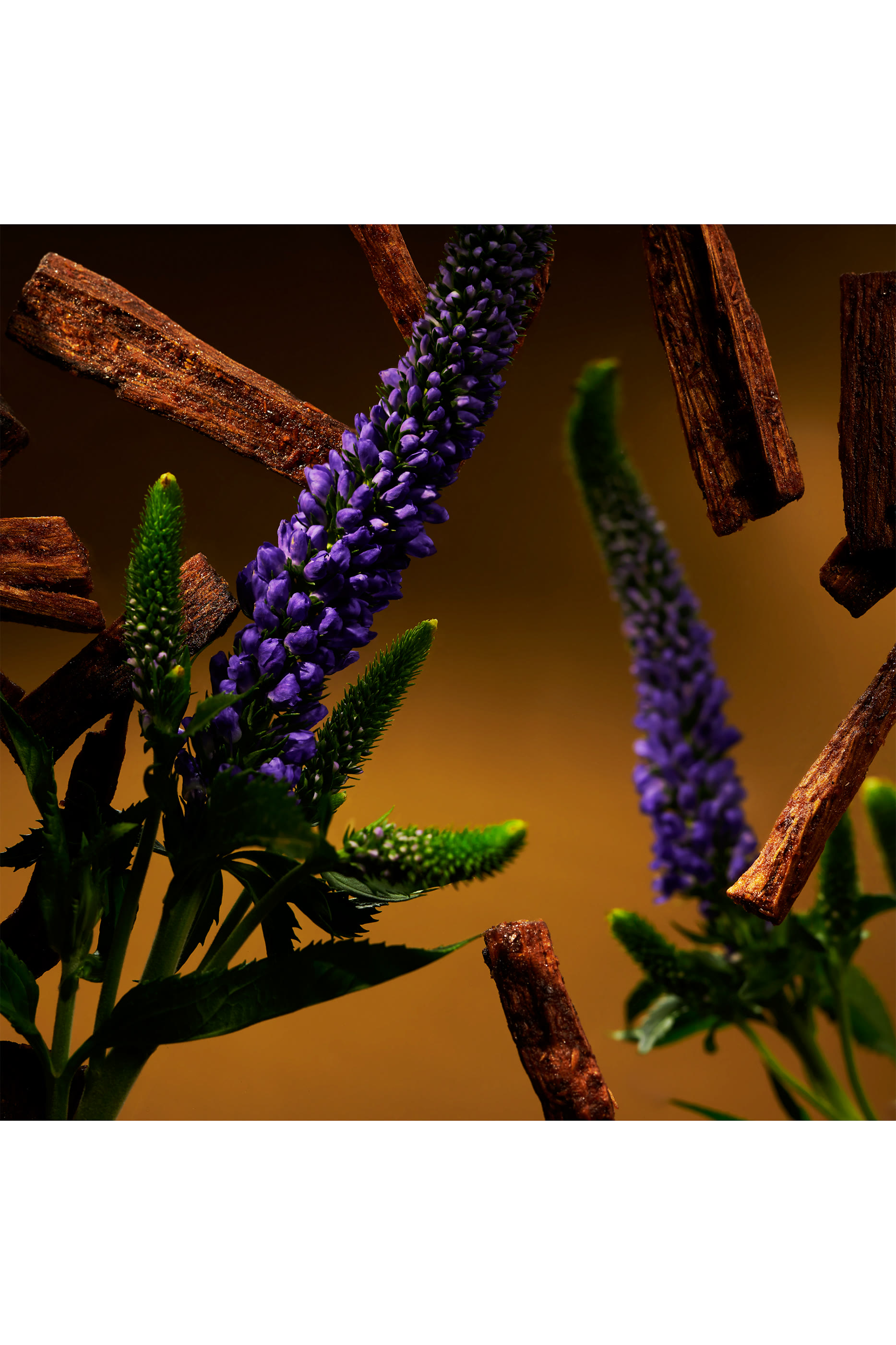 The Ritual of Oudh Gift Set Large