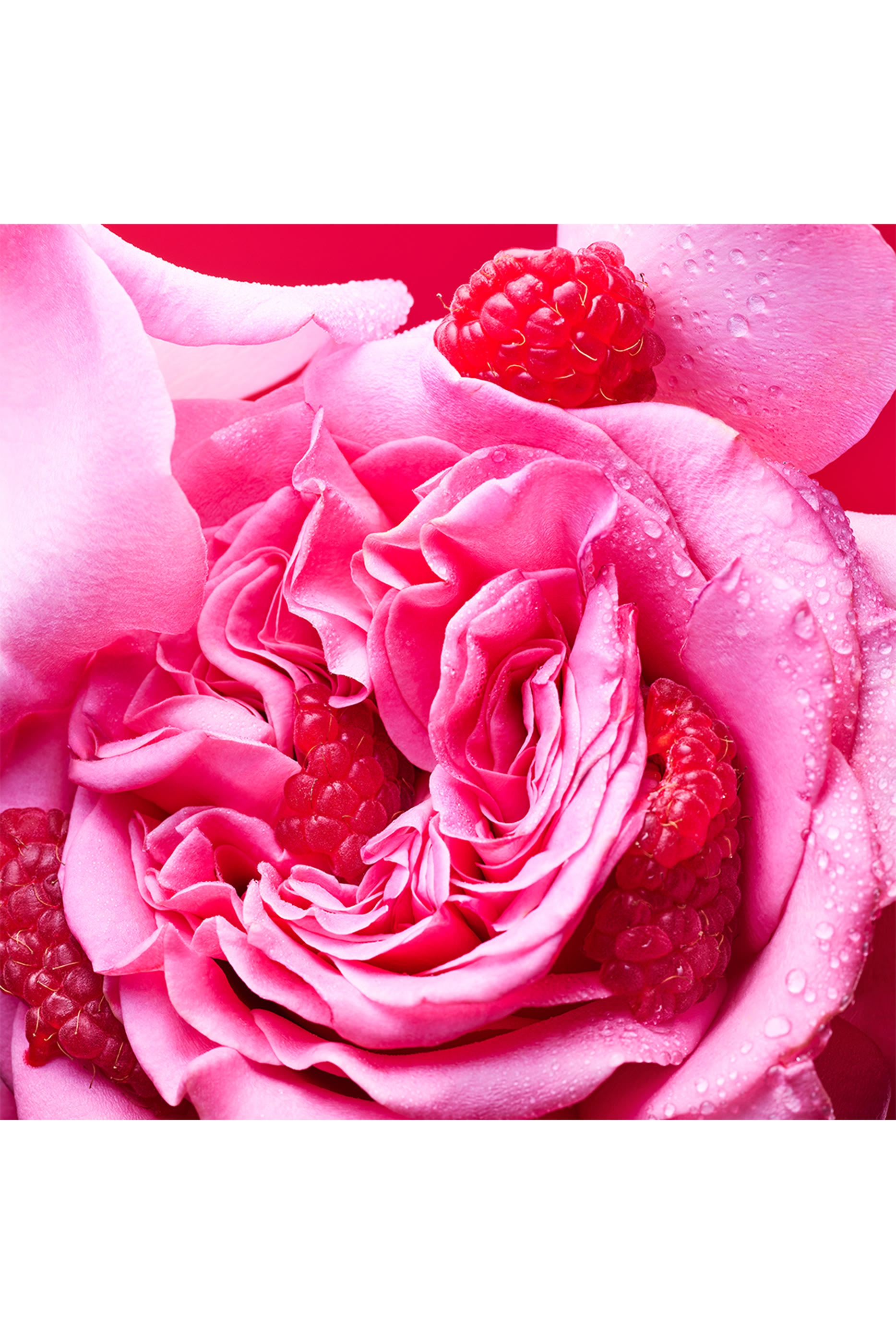 Allegra Fiori D'Amore Liquid Soap