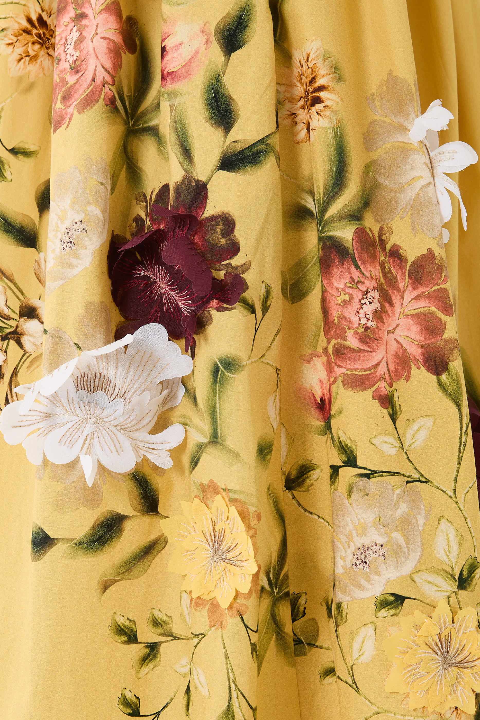 Barbara Param&oacute; Maxi Dress