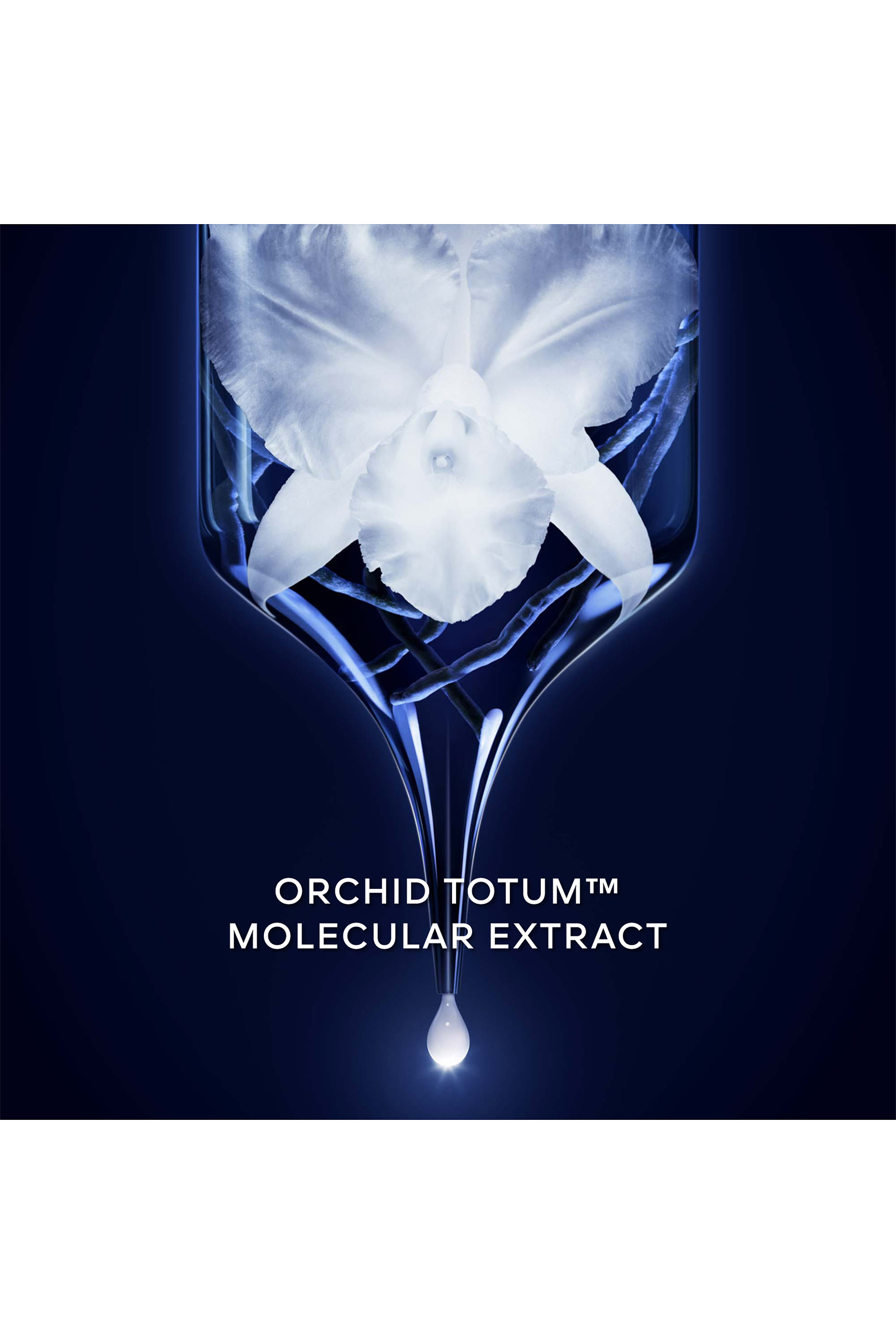 Orchid&eacute;e Imp&eacute;riale The Foam in Cream