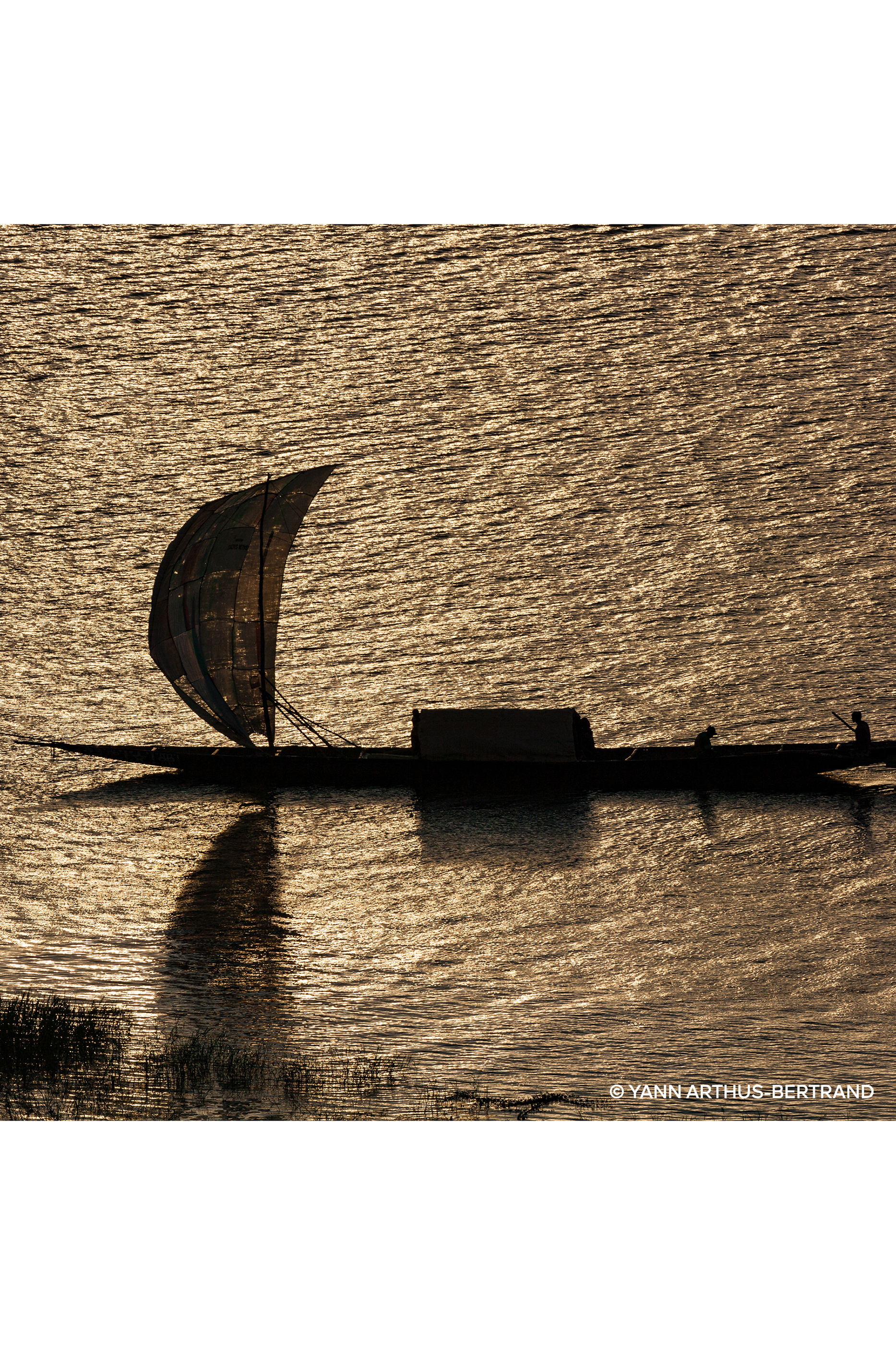 Santal Royal Eau de Parfum