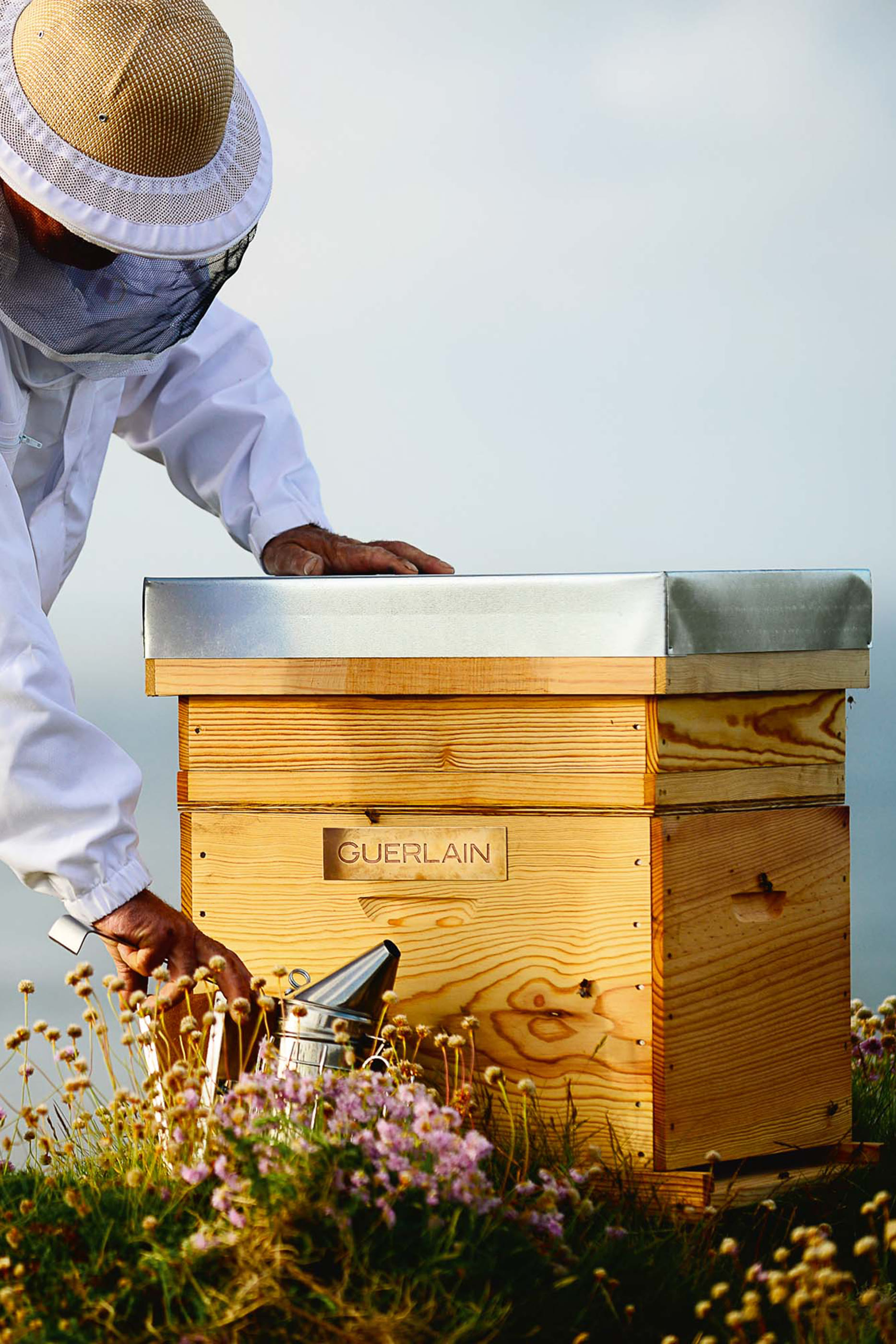 Abeille Royale Daily Repair Serum