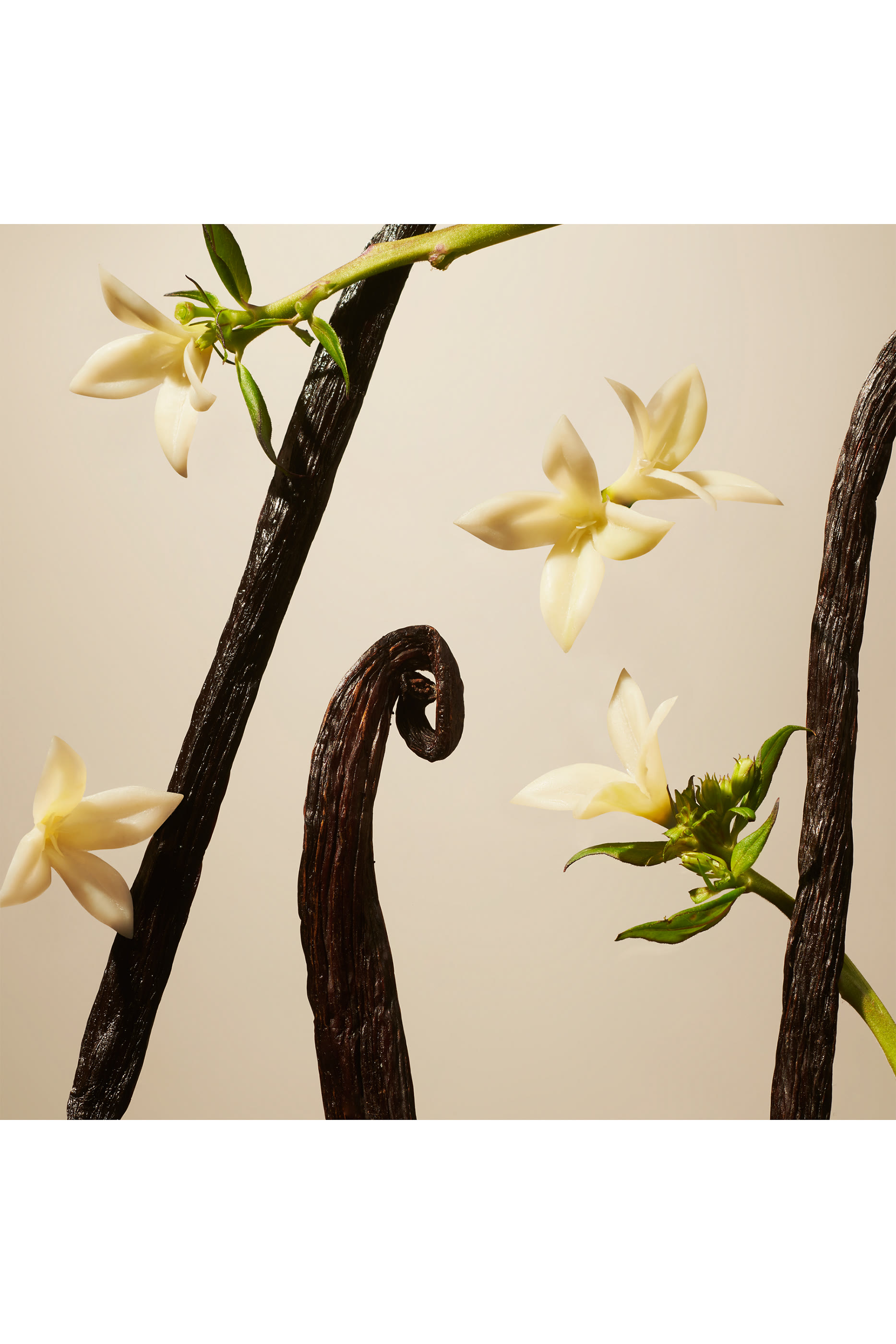 Suede Vanilla Fragrance Sticks, 450ml