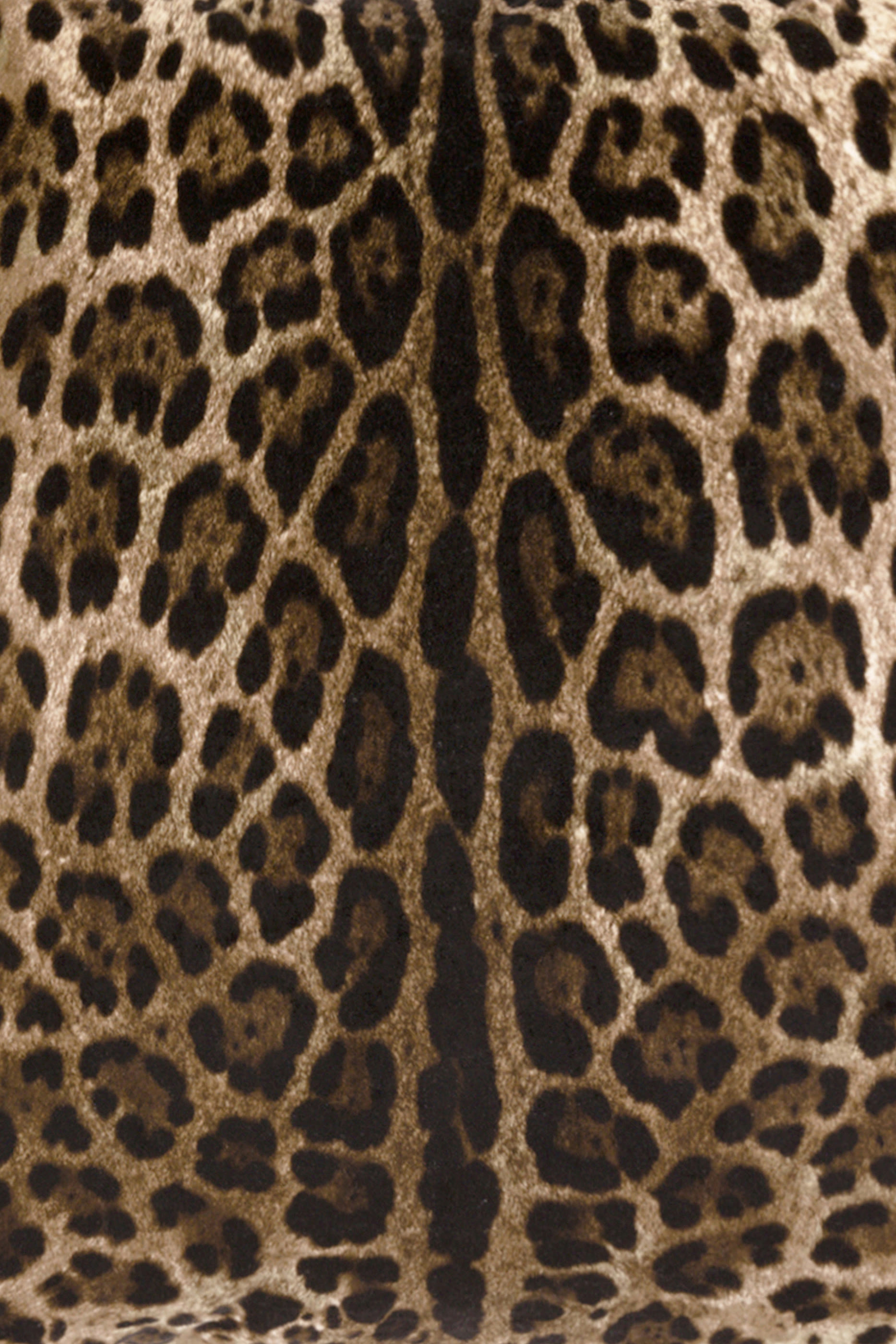 Velvet Leopard Velvet Cushion