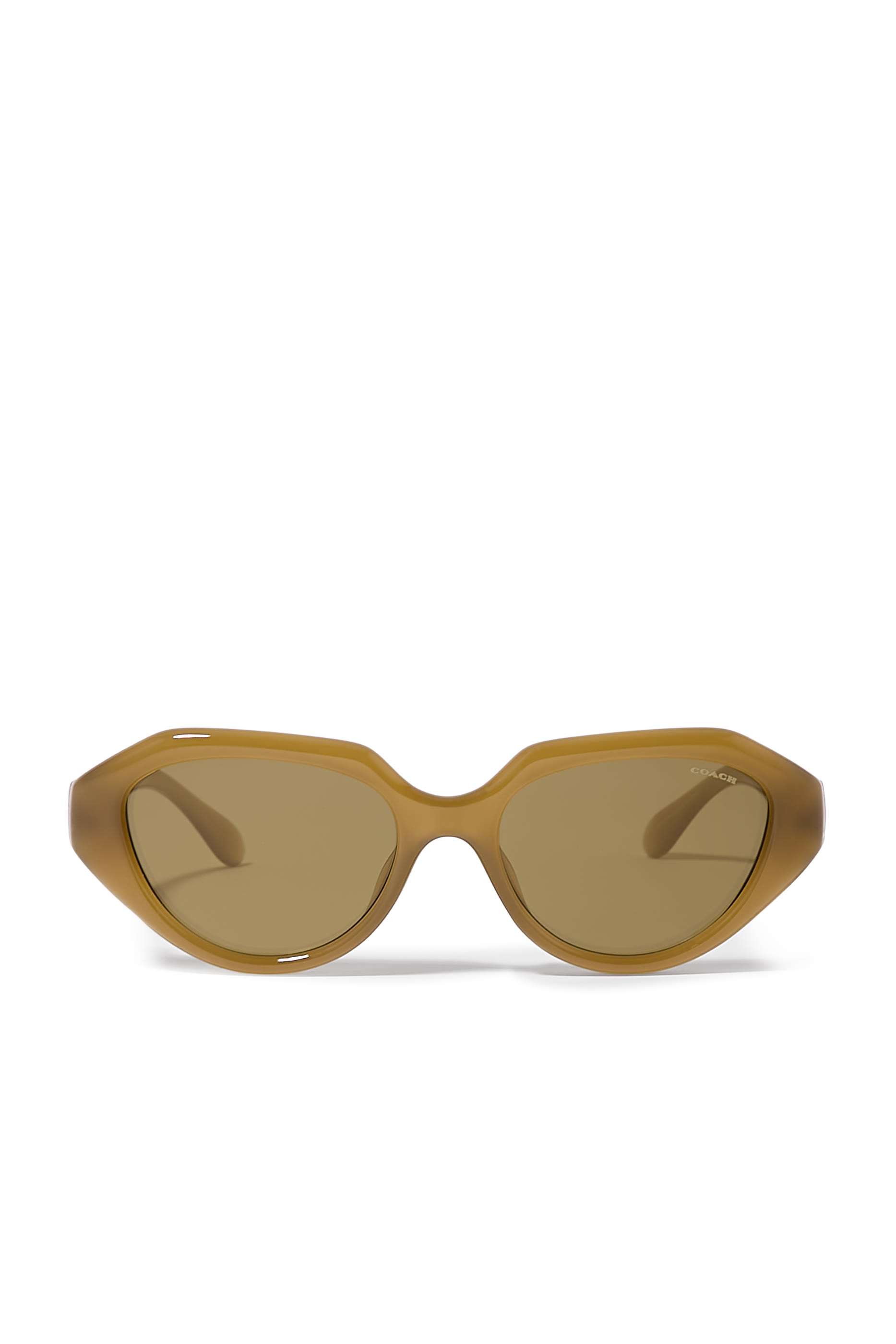 Irreg Frame Sculpted C Logo Temple Sunglasses