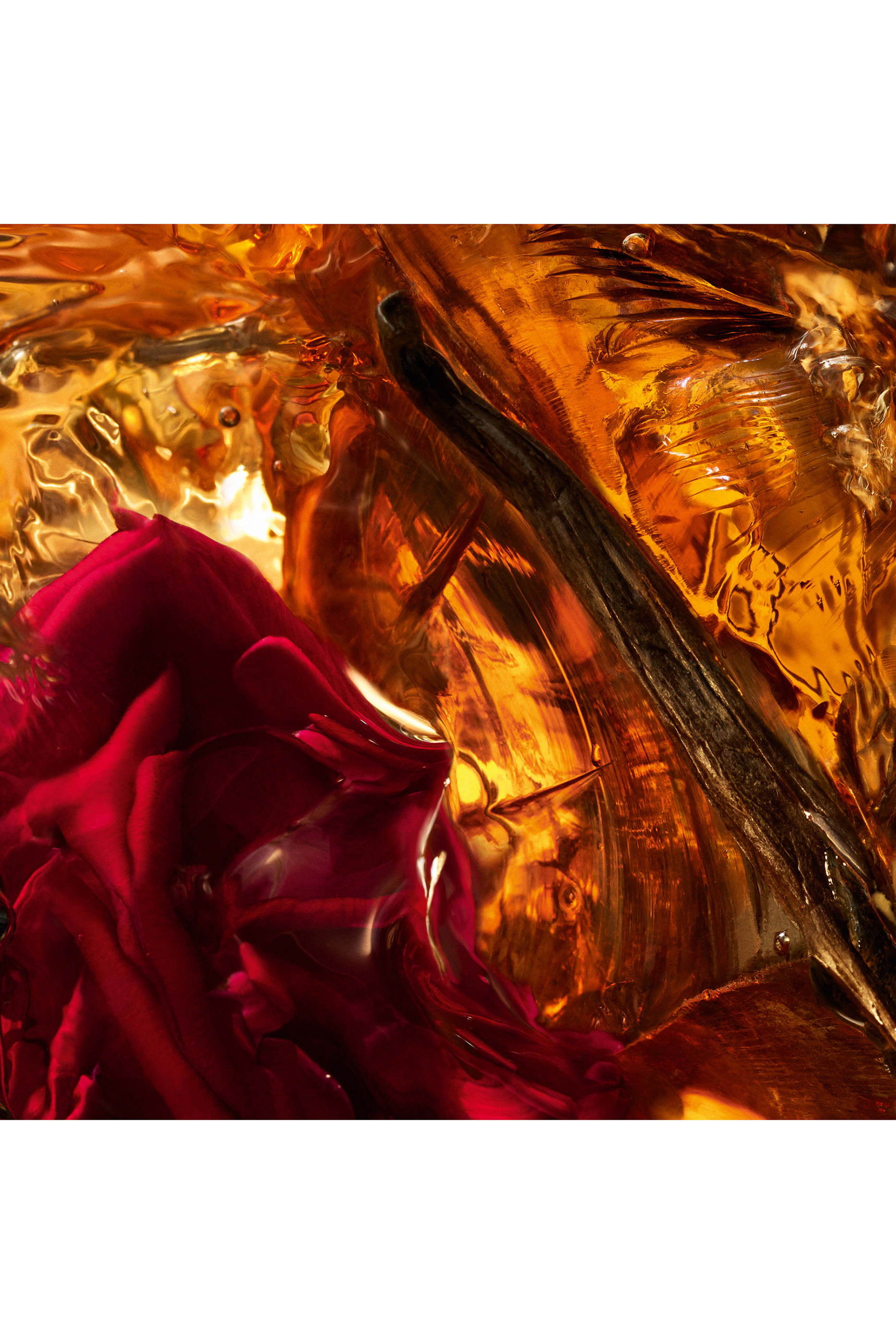 Absolus Allegoria Ambre Samar Eau de Parfum