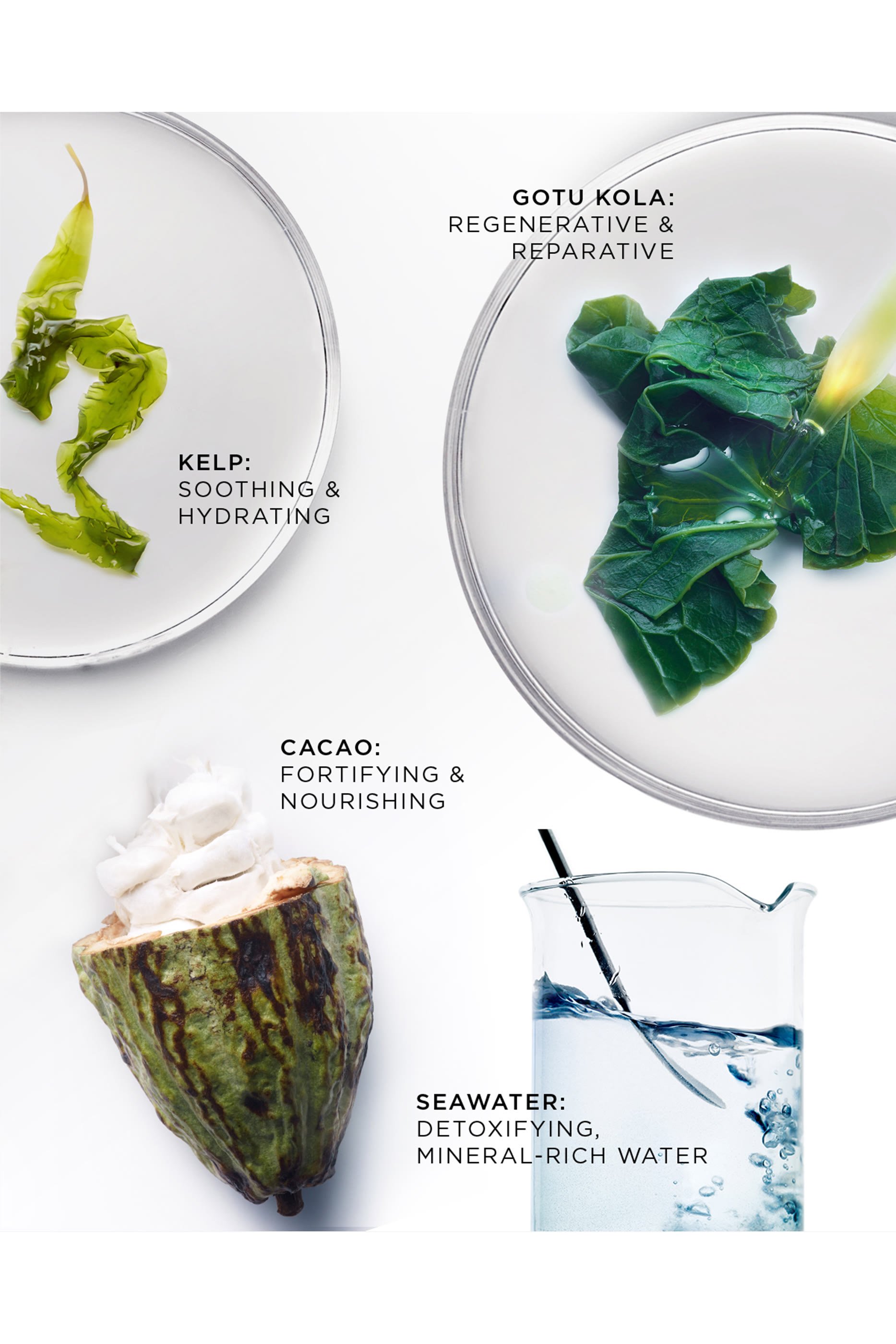 The Brilliant Overnight Recharge Cream