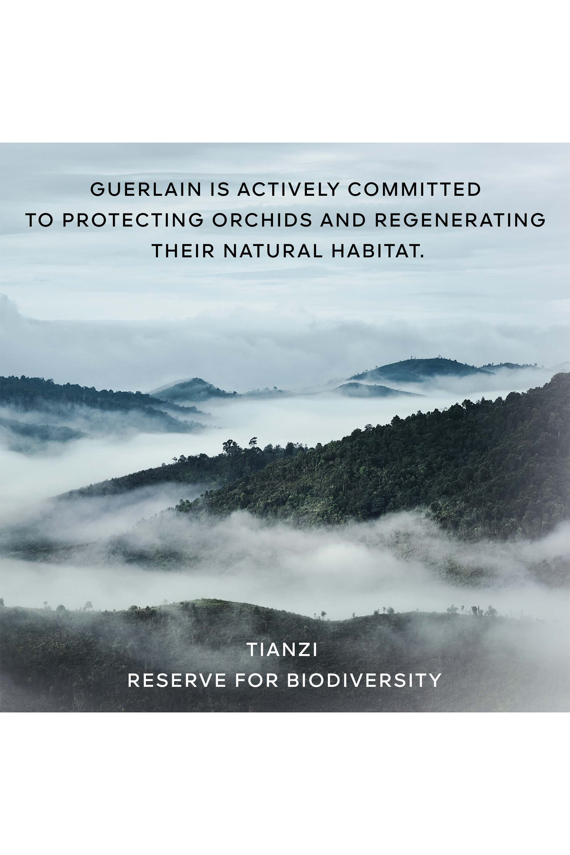 Orchid&eacute;e Imp&eacute;riale The Foam in Cream