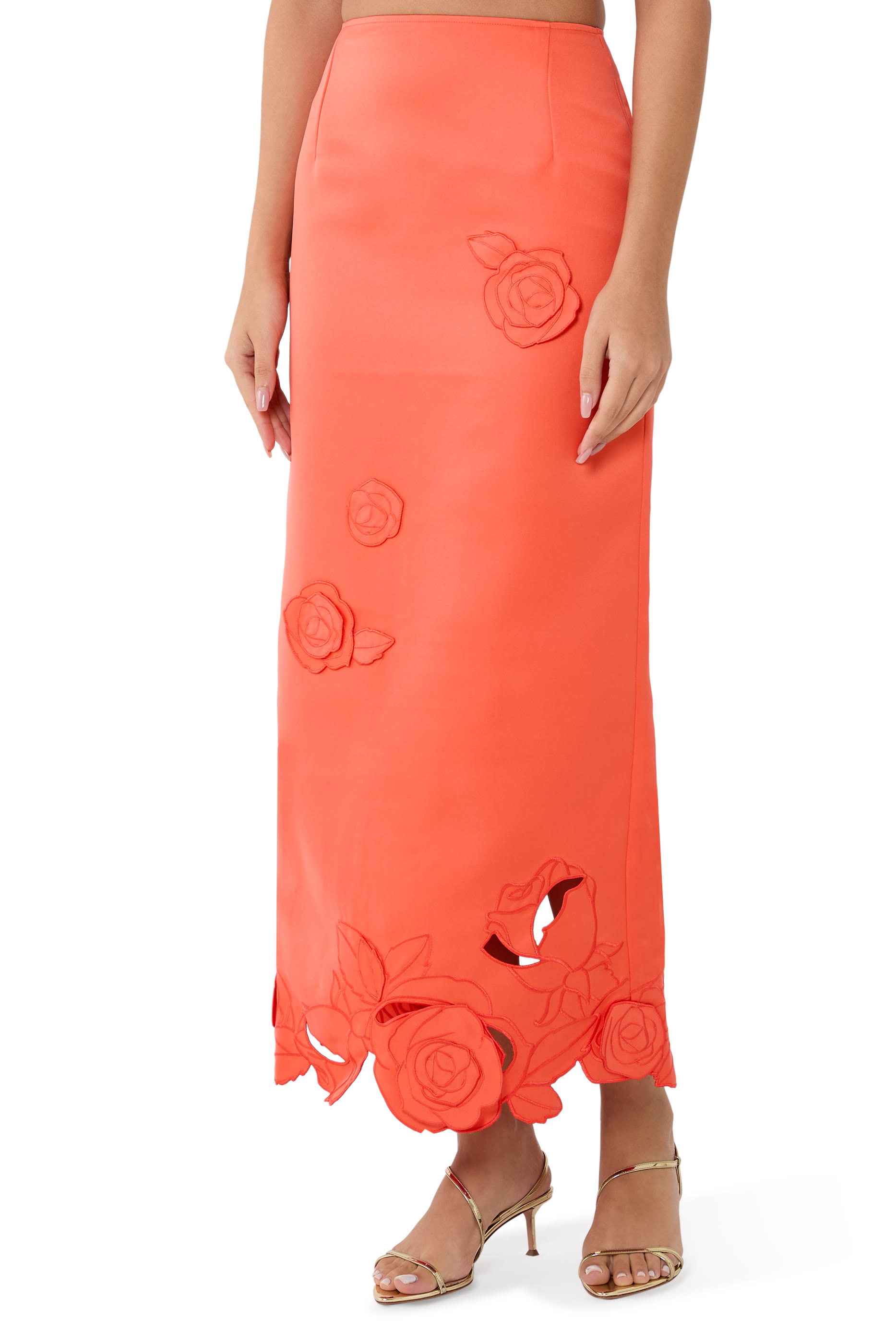 Kyra Appliqu&eacute; Maxi Skirt