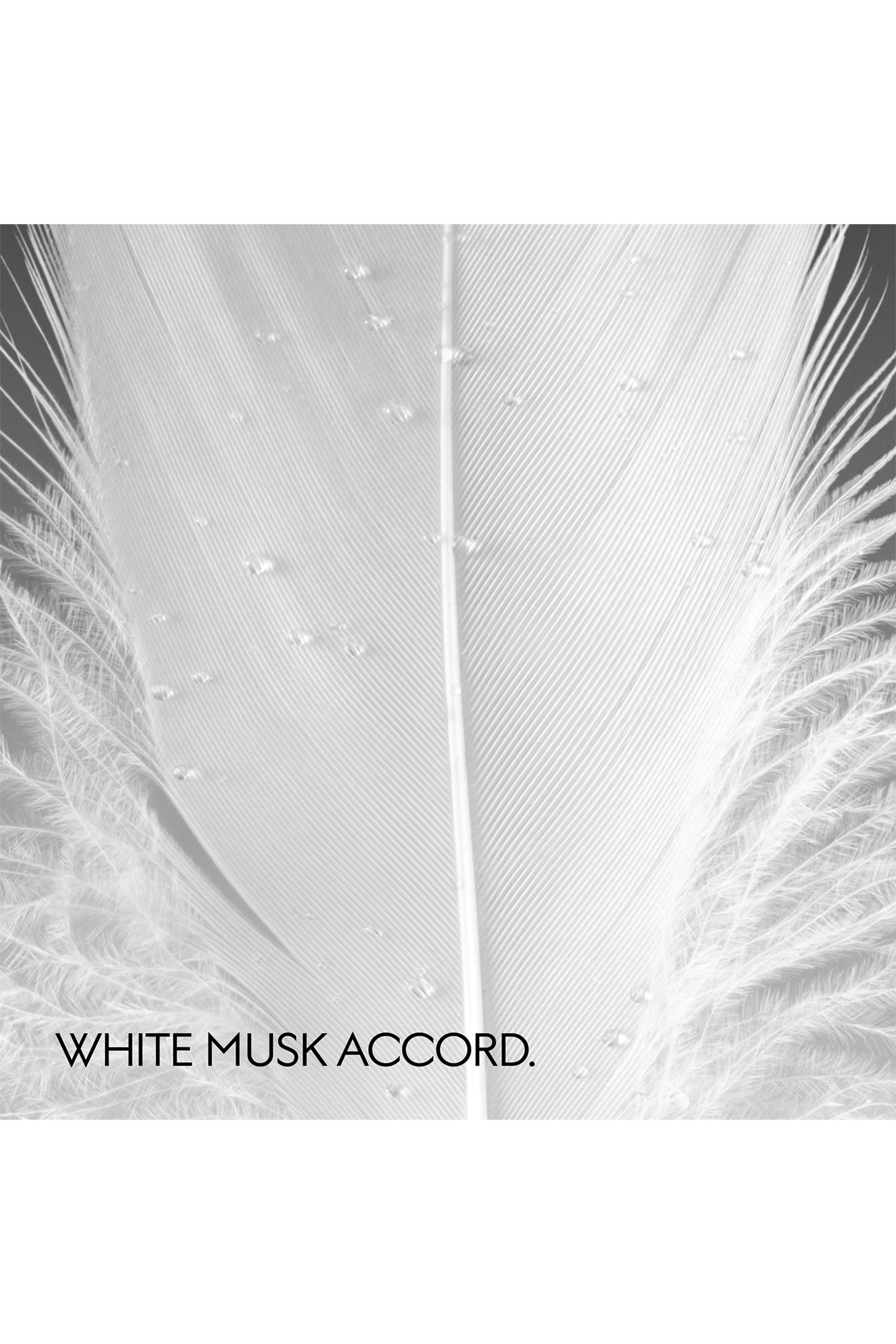 The Alchemist&rsquo;s Garden, Muschio Di Luce Eau de Parfum