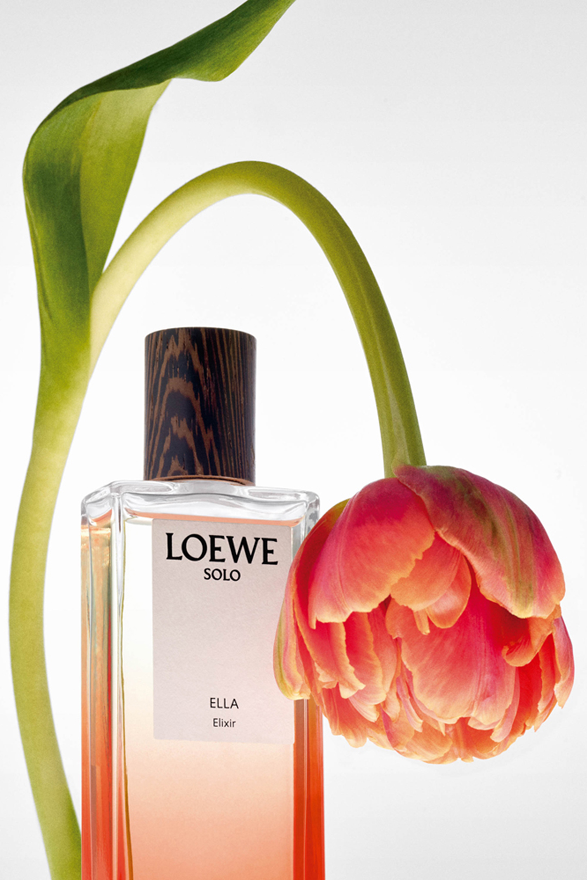 Solo Ella Eau de Parfum Elixir