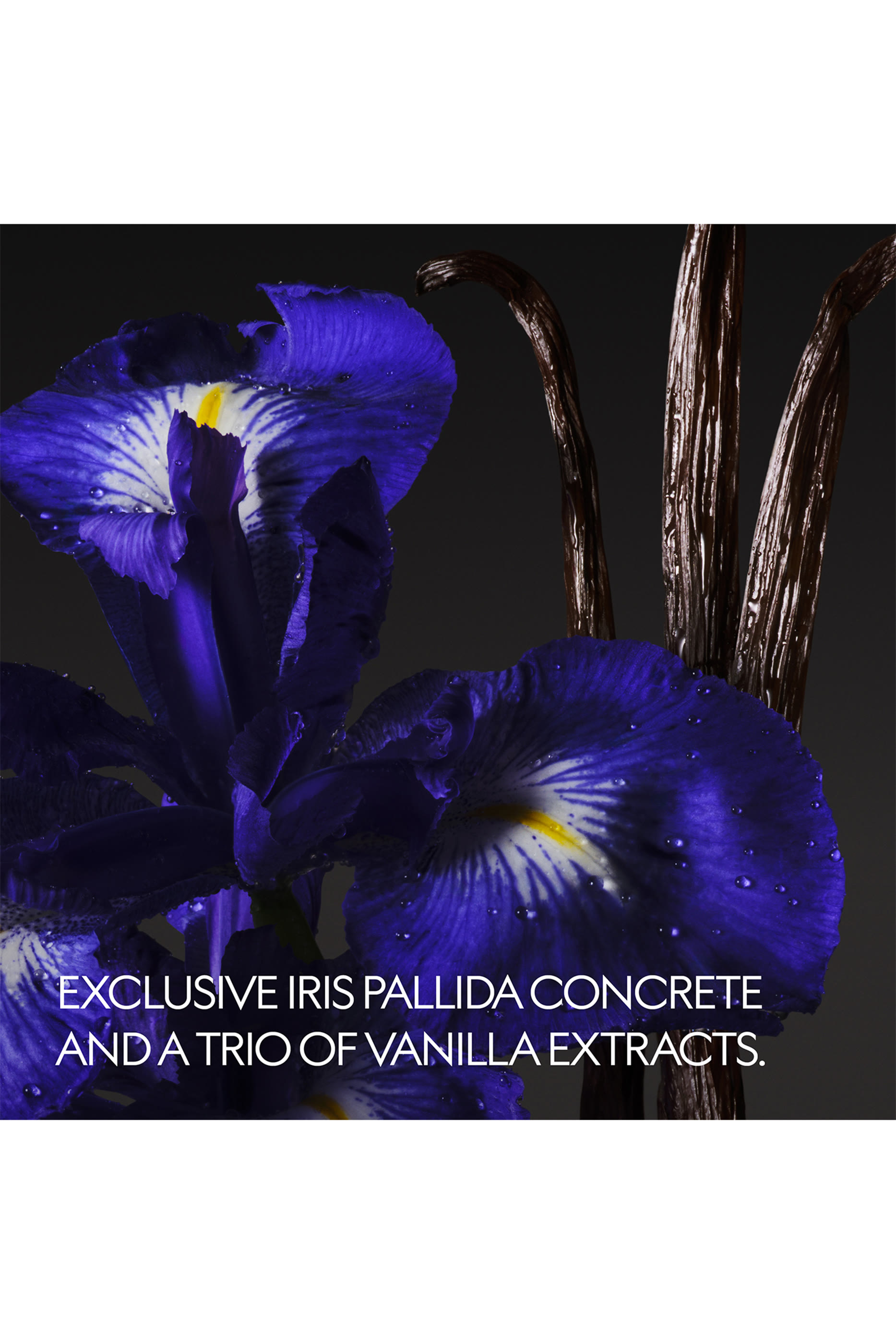 The Alchemist's Garden Vanilla Firenze Eau de Parfum