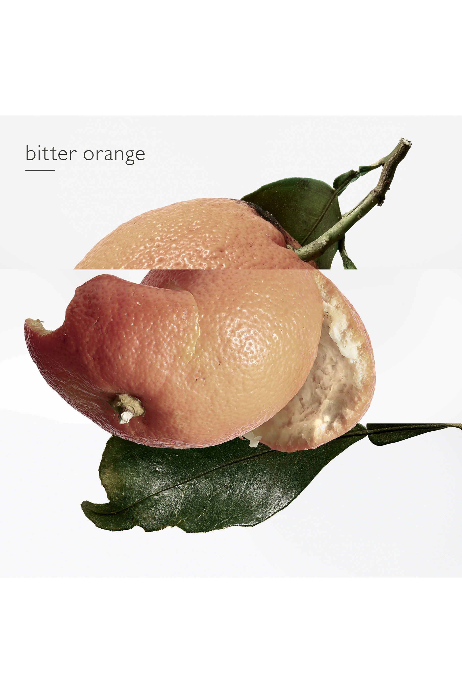 Eau des Merveilles, Eau de toilette