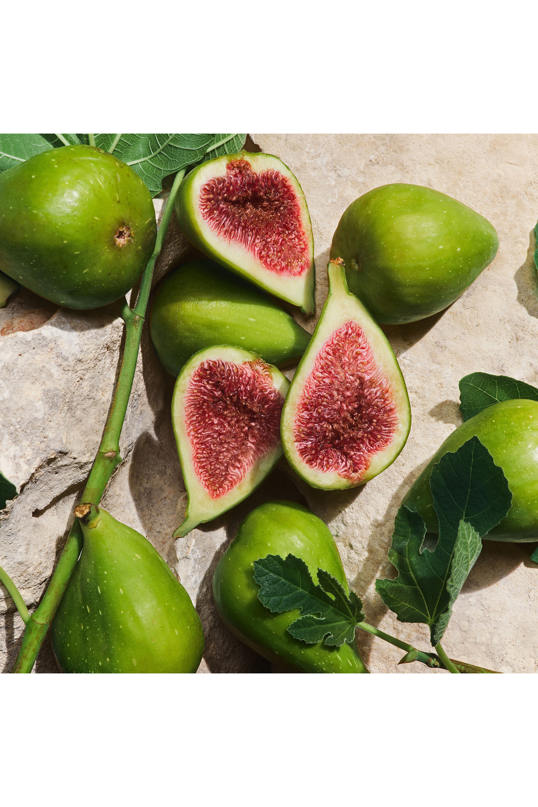 Light Blue Capri In Love Pour Homme Eau de Parfum